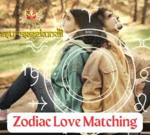 Zodiac Love Matching