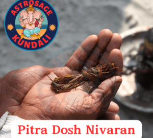 Pitra Dosh Nivaran